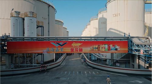 守護(hù)國民餐桌,一滴油的使命