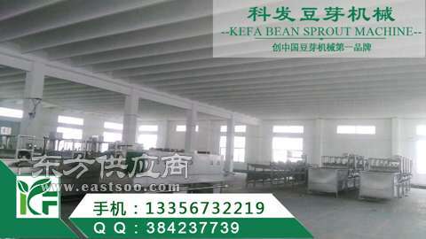 自動(dòng)豆芽設(shè)備廠家 山東科發(fā)豆芽機(jī)械公司 周口豆芽設(shè)備廠家圖片