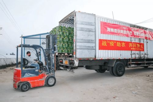 一生只做一件事 的農(nóng)業(yè)科學(xué)家,跟阿里巴巴一起做了另一件大事